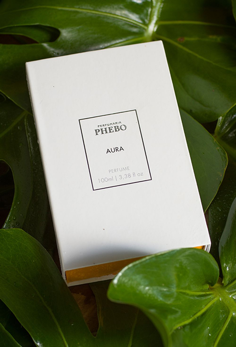 Phebo Aura