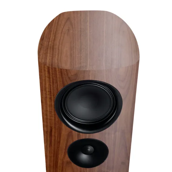 Canton Reference 5 Walnut Matt
