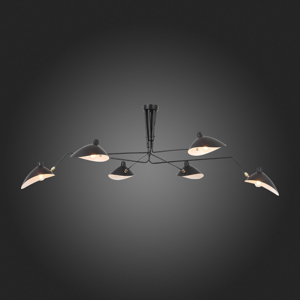 Люстра потолочная ST Luce Spruzzo SL305.402.06
