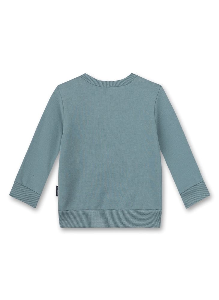 Толстовка Sanetta KIDSWEAR 115495 50378