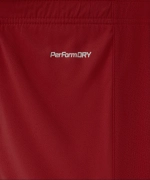 Шорты игровые Jogel DIVISION PerFormDRY Union Shorts, гранатовый 83