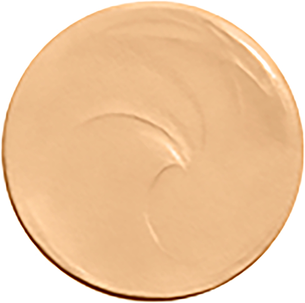NARS SOFT MATTE Complete Concealer - Матирующий корректор для идеального покрытия оттенок PRALINE, 6 g