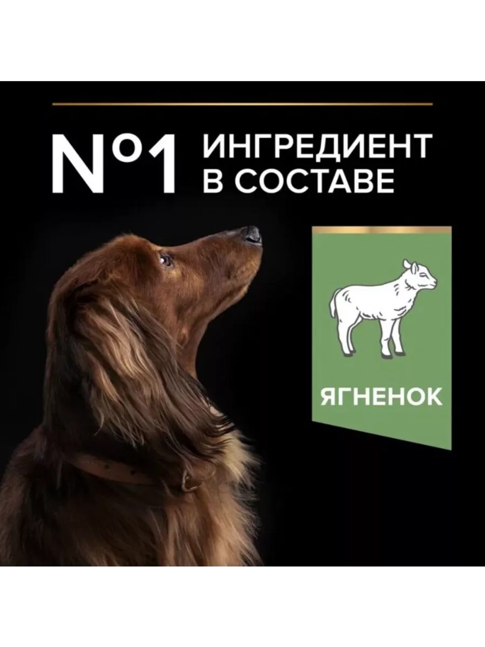 Корм для собак Ягненок 3кг