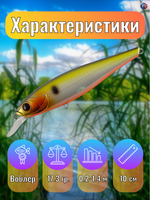 Воблер TsuYoki DRAGA 100SP 207R