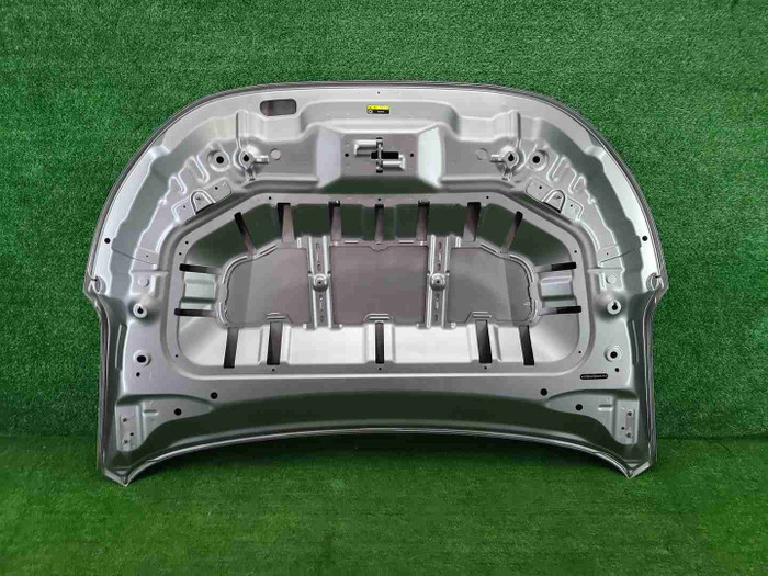 IMG_20260623_101653.JPG