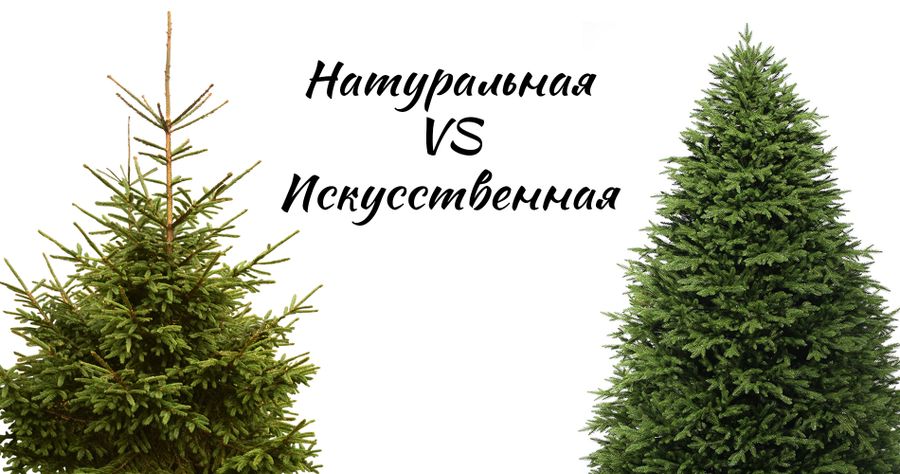 7. Сравнение: натуральные vs. искусственные ёлки – что выбрать?