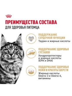 Maine Coon Adult Корм для кошек в соусе 85г*28шт