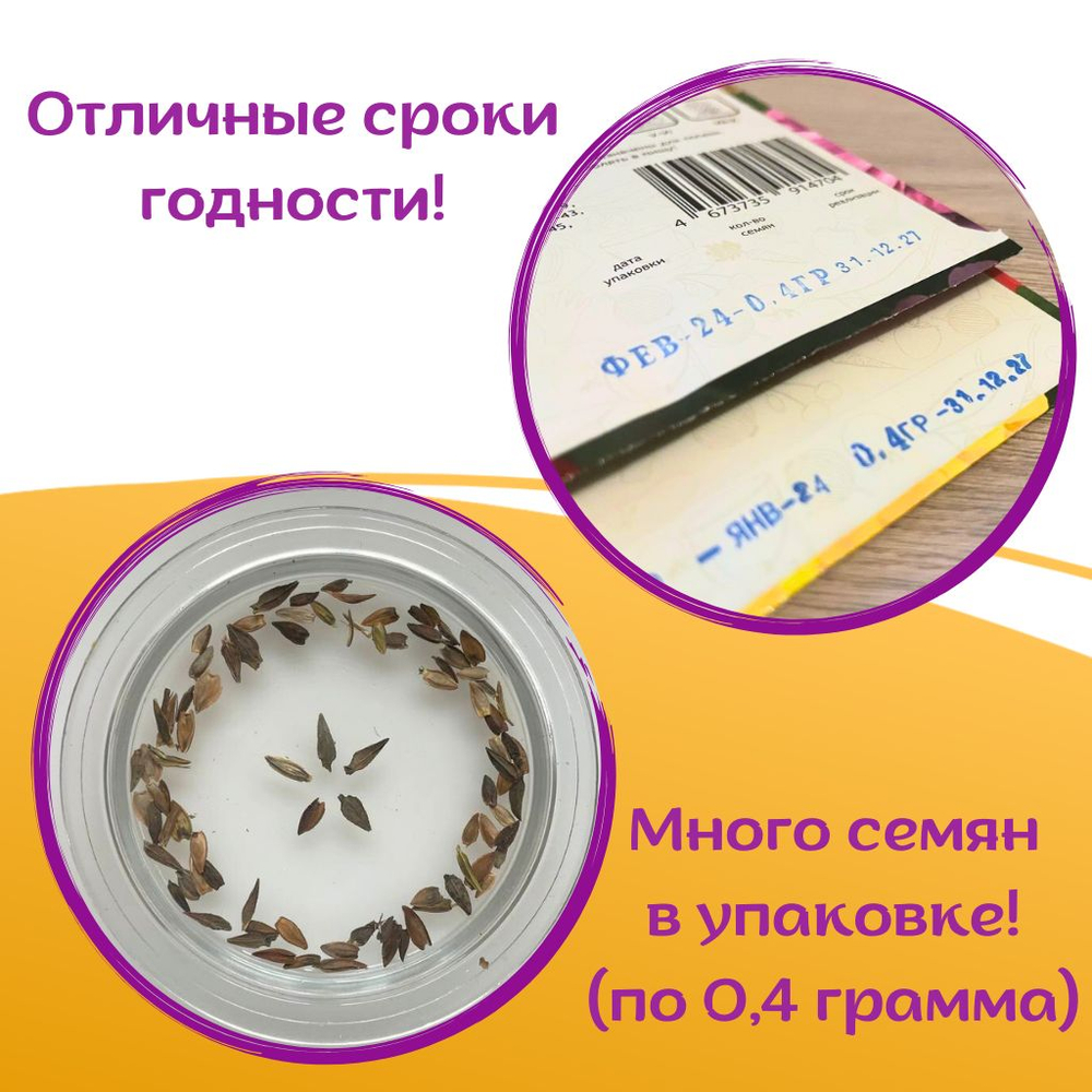 Семена Цинния кустовая низкорослая и высокорослая Лилипут и Калифорнийский гигант, набор семян цинии смесь по 0.4 г