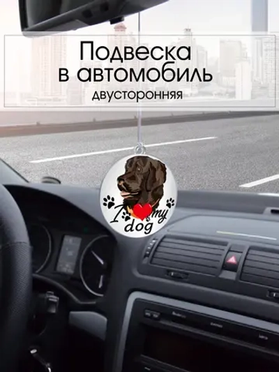 Подвеска в машину - Лабрадор-ретривер