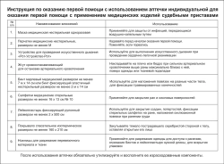 Аптечка индивидуальная  первой помощи  судебными приставами пр 208н пластик м.3905