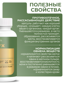 молотый корень лопуха в капсулах