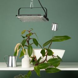 Фитопрожектор для растений светодиодный ЭРА FITO-80W-Ra90-LED-Y полного спектра | Фито прожекторы