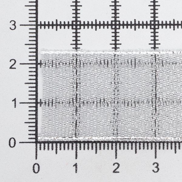 Лента металлизированная 25.0 мм / 32.9±2 метров, 0080-2500 (серебро)