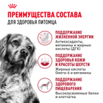 Royal Canin Medium Adult 7+ Медиум Эдалт Корм сухой для взрослых собак средних размеров от 7 лет и старше 15кг