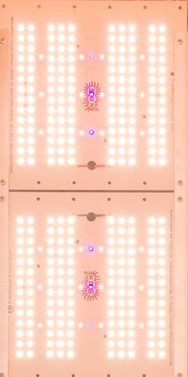 Quantum Board Sun2 Ultimate 2 130 Вт