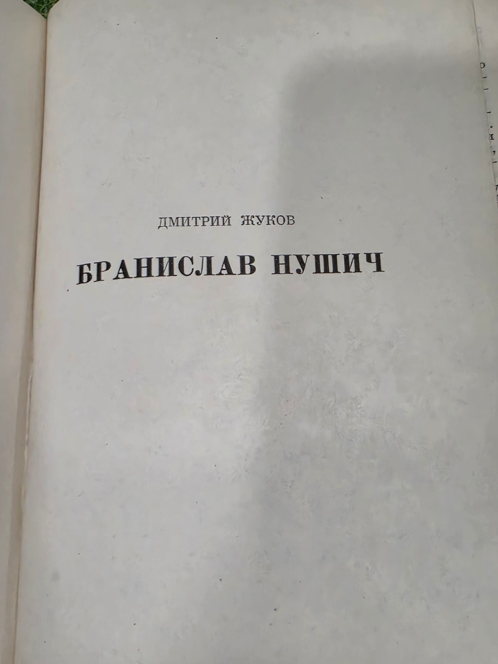 книга " Нушич "
