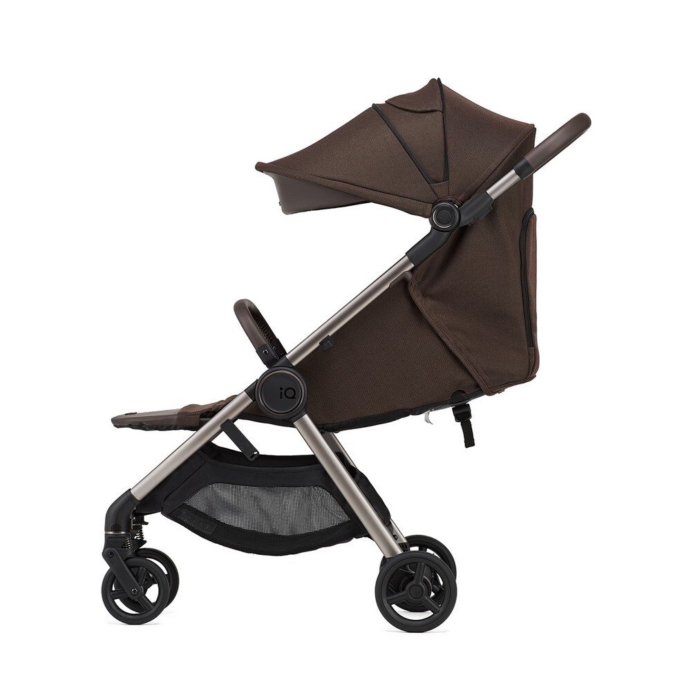 Коляска ANEX IQ Teddy (2в1+багги)