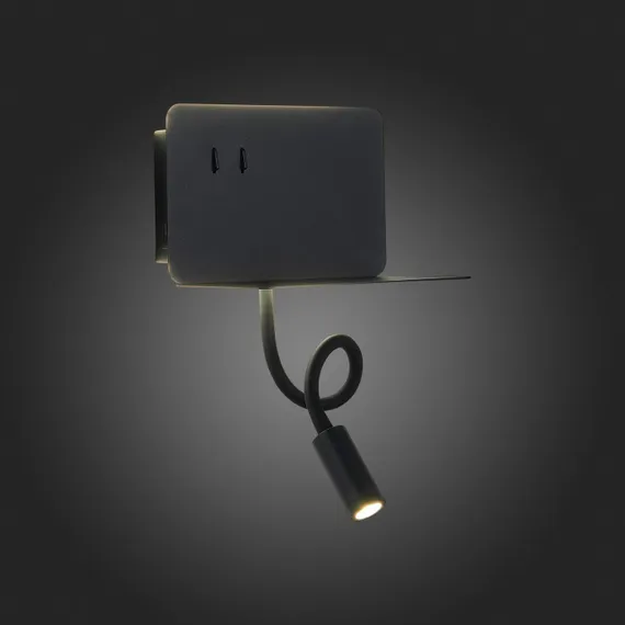 Настенный светильник Pinaggio SL1576.401.02 ST Luce