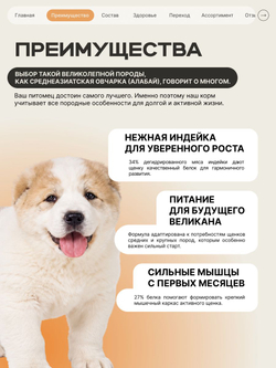 Корм сухой для щенков породы Среднеазиатская овчарка (Алабай), с индейкой, 12 кг, QUATTRO