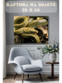 Картина на стену 40 X 50 Змея