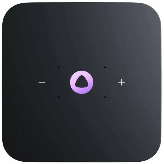 Умная колонка Яндекс Миди Raspberry