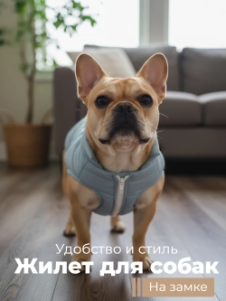Жилет для собак