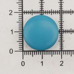 Пуговицы на ножке 28L=18 мм, пластик (Sea (морской)), NE68, 48 шт