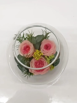 натуральные пионы в стекле, вакуум*