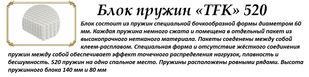 Лидер 5