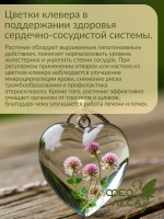 Клевер красный луговой целые цветки для здоровья и гармонии