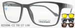 R25496