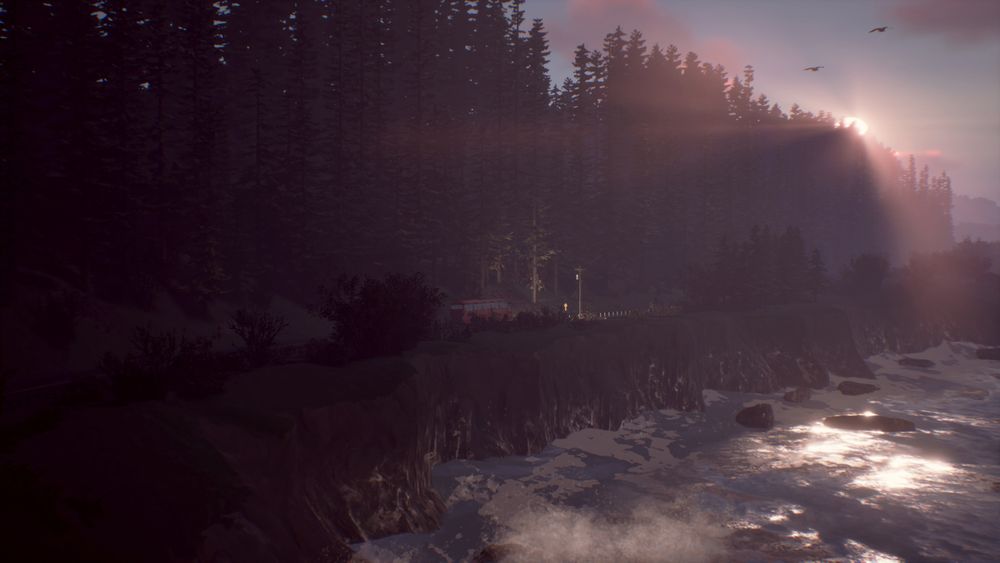 Life is Strange 2: полное издание