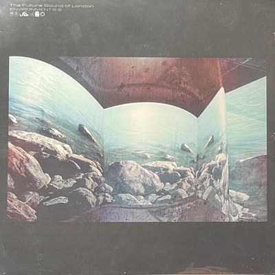 The Future Sound Of London ‎– Environment 6.5 (Англия 2016г.)