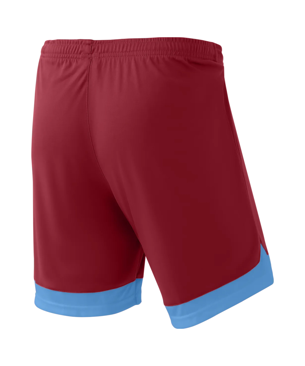 Шорты игровые DIVISION PerFormDRY Union Shorts, гранатовый/голубой/белый
