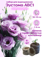 Семена Эустома высокорослая Лавандовая + торфяные таблетки Jiffy, 5шт, набор для выращивания