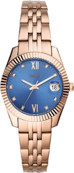 Наручные часы Fossil ES4901
