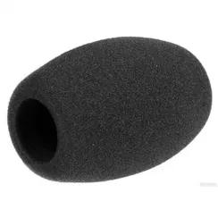 Sennheiser MZW 1