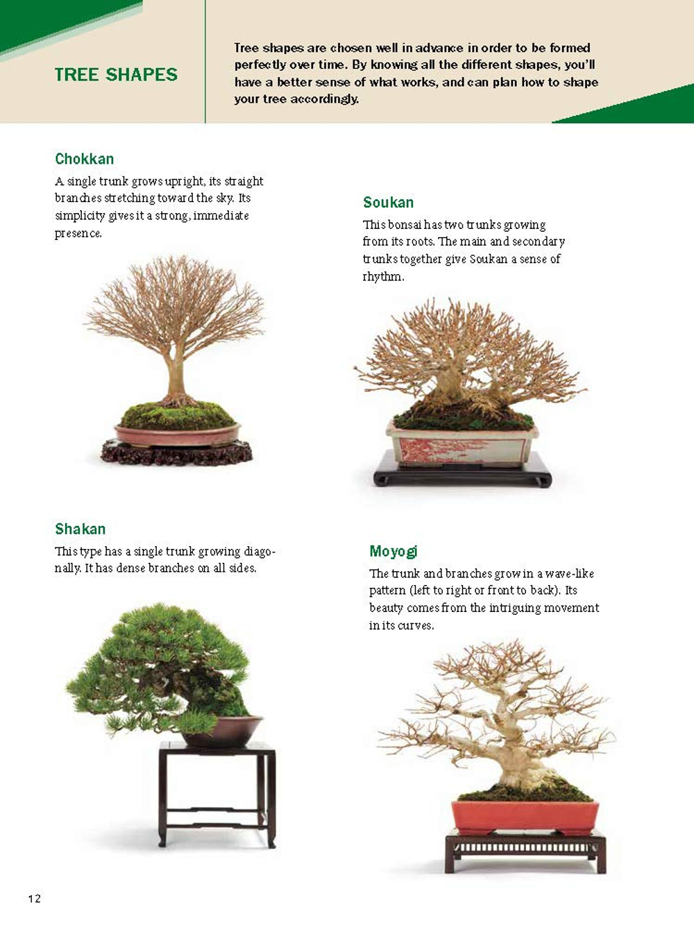 The Ultimate Bonsai Handbook: The Complete Guide for Beginners