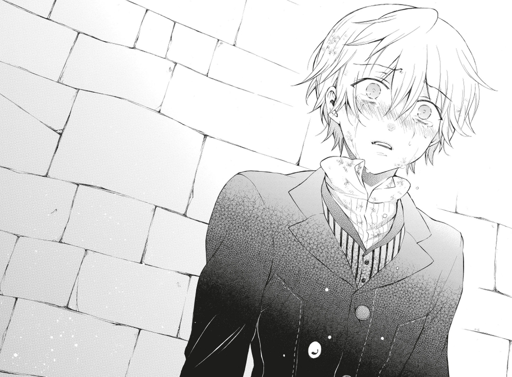 Сердца Пандоры. Pandora Hearts. Книга 10