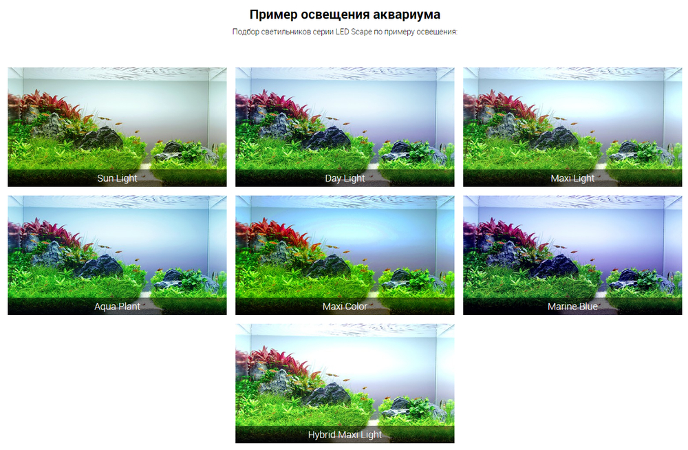 Светильник "Биодизайн" LED Scape Sun Light ECO, 1600мм, 74Вт, для А-650/ П-600