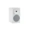 Martin Logan Foundation B1 Satin White