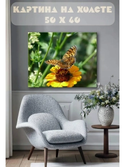 Картина на стену 40 X 50 Бабочка