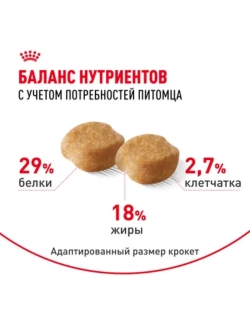 Yorkshire Terrier Ageing 8+ Корм для собак 1,5кг