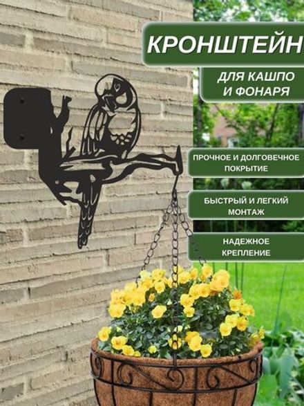 Кронштейн для кашпо и фонаря "Попугай" 26х25 см