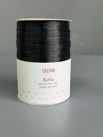 Пряжа ISPIE Raffia (7492601-126A Black/Черный)