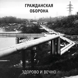 Виниловая пластинка. Гражданская Оборона – Здорово И Вечно