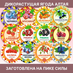 Таволга резаная (лабазник)