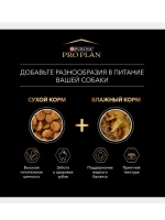 Pro Plan (Про План) влажный корм для собак мелких пород с говядиной