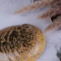 Салатник 365 мл 19*14,5 см h5 см для закусок Light Pearl Ammonite Shell Frutti di Mare P.L. [1]