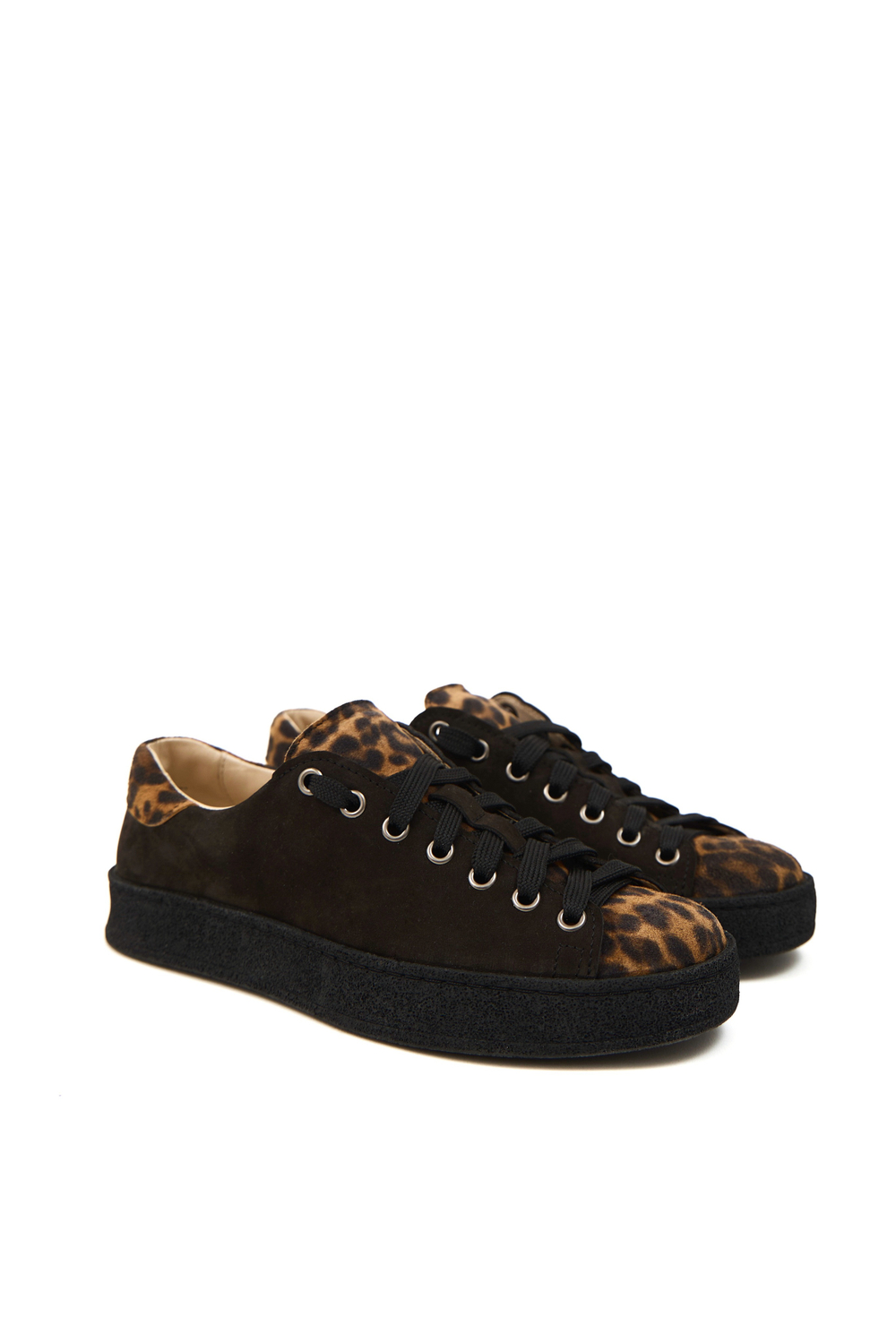 C3 Brown Leo